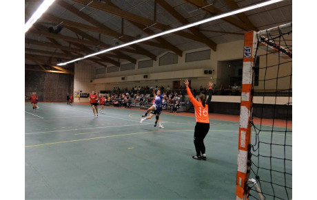 Nos violettes surprenantes d'efficacité !