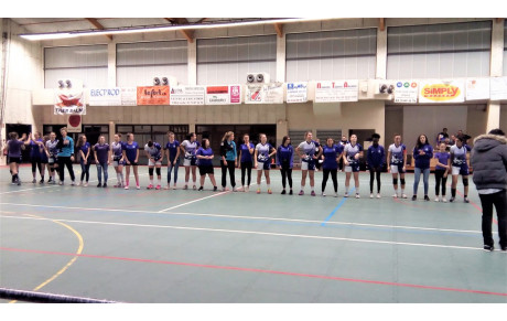 Cumul de victoires pour nos violettes lors de la journée de la Handballeuse !